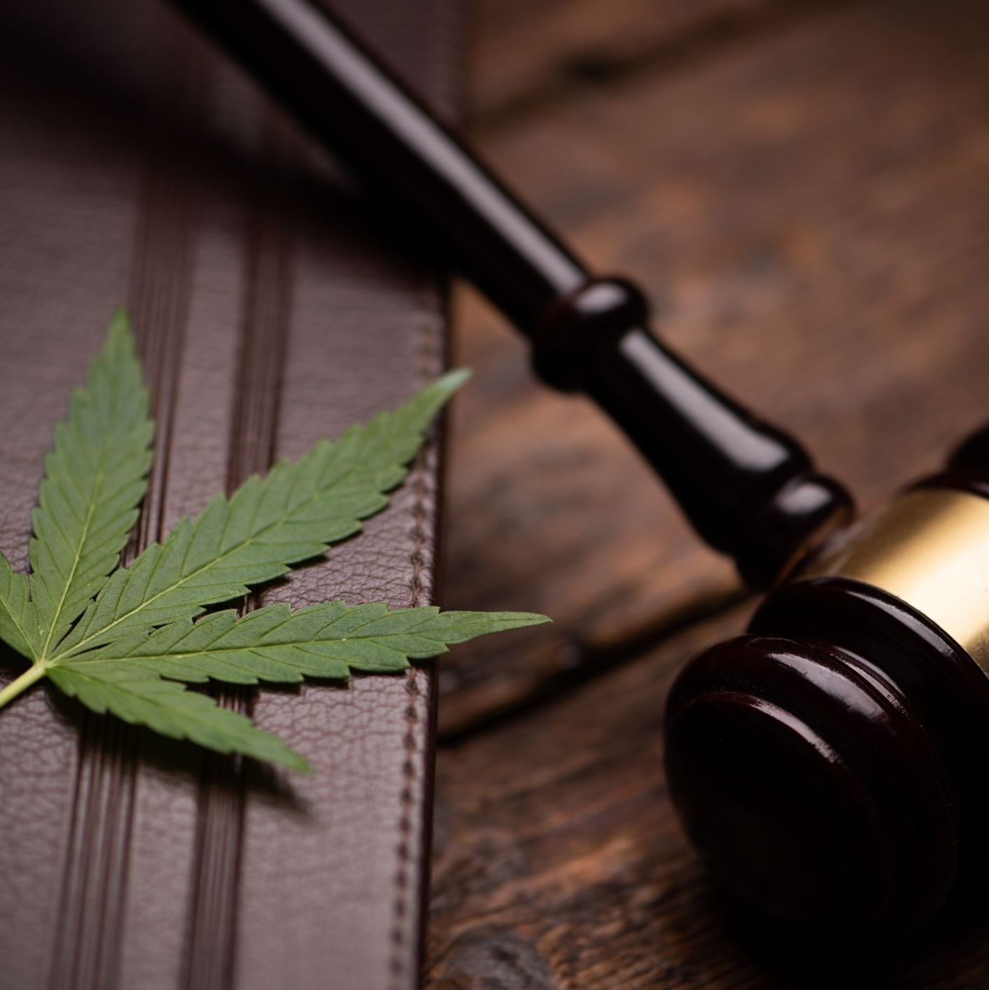 Cannabis leaf and judge gavel on wooden table