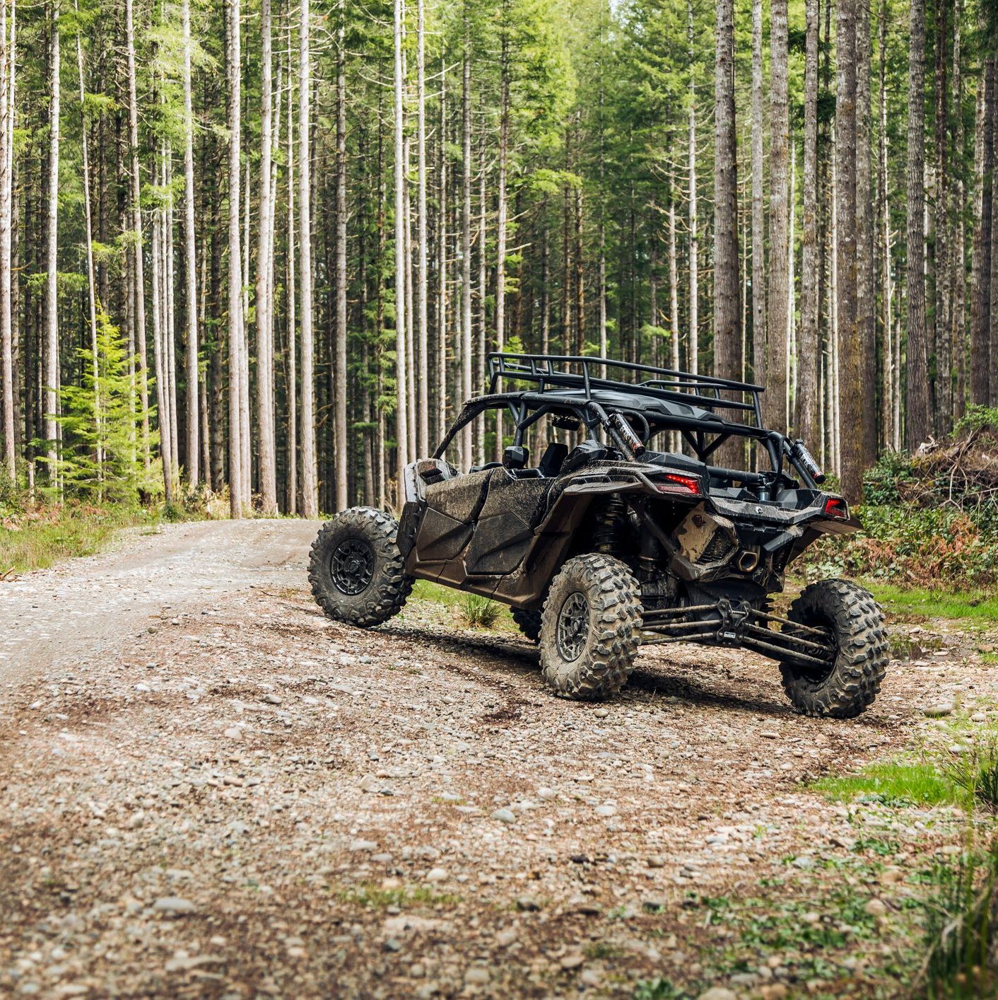 UTV or Side by side in the woods